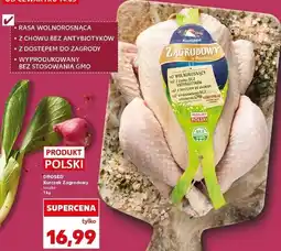 Kaufland Drosed Kurczak Zagrodowy tuszka oferta