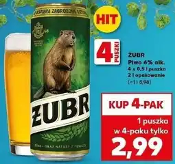 Kaufland Piwo 6% alk. Żubr oferta