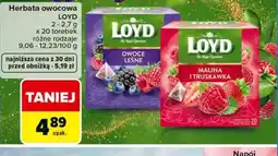 Carrefour Herbata owocowa LOYD oferta