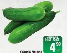 TomiMarkt Ogórek zielony oferta