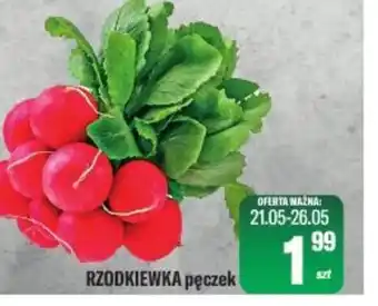 TomiMarkt Rzodkiewka oferta