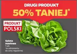 Netto Sałata masłowa oferta