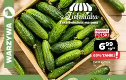 Netto Ogórek gruntowy oferta