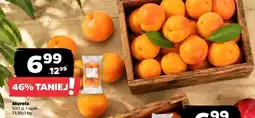 Netto Morela oferta