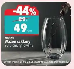 Biedronka Wazon szklany oferta