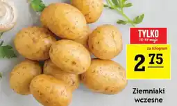 Gram Market Ziemniaki wczesne oferta