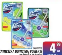 TomiMarkt Domestos Zawieszka do wc oferta