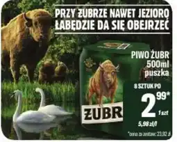 TomiMarkt Piwo Żubr oferta