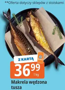 E.Leclerc Makrela wędzona tusza oferta