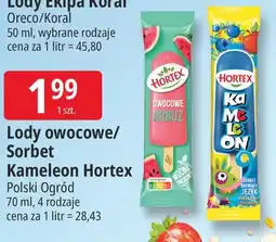 E.Leclerc Lody kameleon Hortex oferta