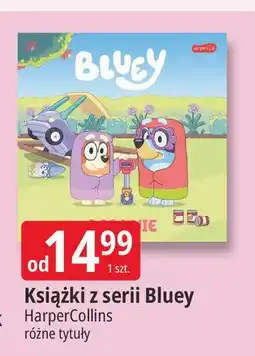 E.Leclerc Książka bluey w co się pobawimy? oferta
