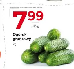 Frac Ogórek gruntowy oferta