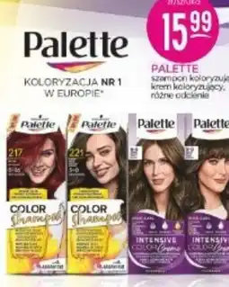 Jaśmin Palette Szampon koloryzujący oferta