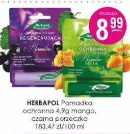 Jaśmin Herbapol Pomadka ochronna oferta