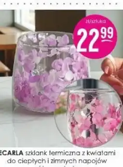 Jaśmin Ecarla Szklanka termiczna oferta