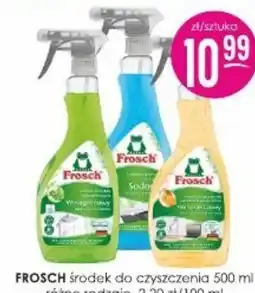 Jaśmin Frosch środek do czyszczenia oferta