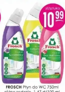 Jaśmin Frosch Płyn do wc oferta