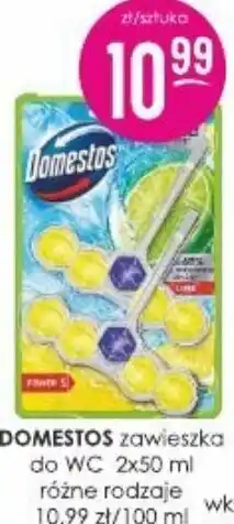 Jaśmin Domestos Zawieszka do wc oferta