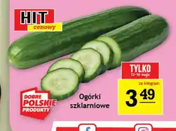 Gram Market Ogórki szklarniowe oferta