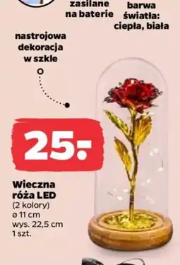 Netto Wieczna róża LED oferta