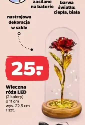 Wieczna róża LED