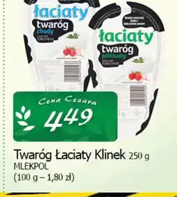 Cezar Delikatesy Mlekpol Łaciaty Twaróg Klinek oferta