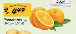Cezar Delikatesy Pomarańcz oferta