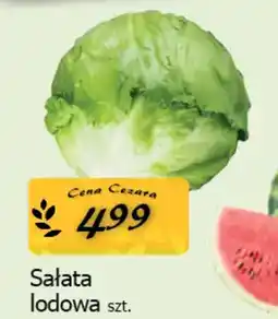 Cezar Delikatesy Sałata lodowa oferta