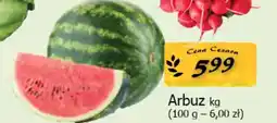 Cezar Delikatesy Arbuz oferta