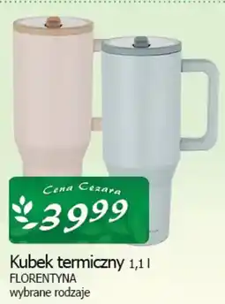Cezar Delikatesy Florentyna Kubek termiczny oferta