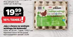 Netto Jaja z chowu na wolnym wybiegu Od Kokoszki oferta