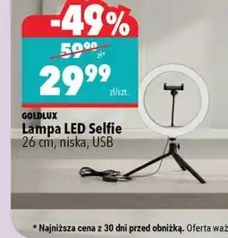 Biedronka Lampa LED Selfie 26 cm, niska, USB oferta