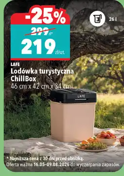 Biedronka Lodówka turystyczna Chill Box 46 cm x 42 cm x 34 cm oferta