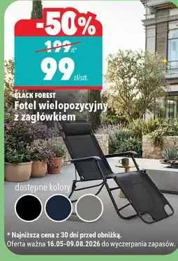 Biedronka Fotel wielopozycyjny z zagłówkiem oferta