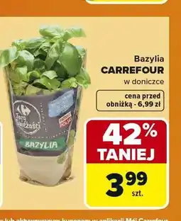Carrefour Carrefour Bazylia oferta