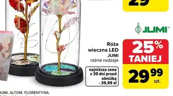 Róża wieczna LED jumi