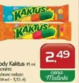 Malinka Market Lody Kaktus oferta