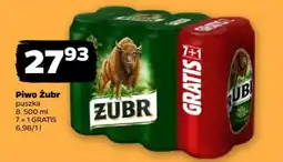Netto Piwo Żubr puszka oferta