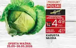 Wafelek Kapusta Młoda oferta
