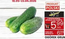 Wafelek Ogórek Gruntowy oferta