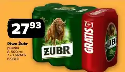 Netto Piwo ŻUBR oferta