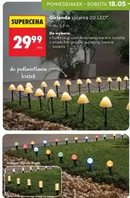 Biedronka Girlanda solarna 20 LED oferta
