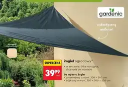 Biedronka Żagiel ogrodowy oferta
