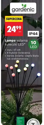 Biedronka Lampa solarna kuleczki LED oferta