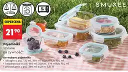 Biedronka Pojemniki oferta