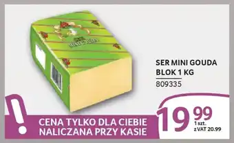 Selgros Ser mini gouda blok oferta