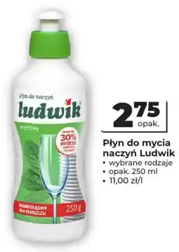 Odido Płyn do mycia naczyń Ludwik oferta