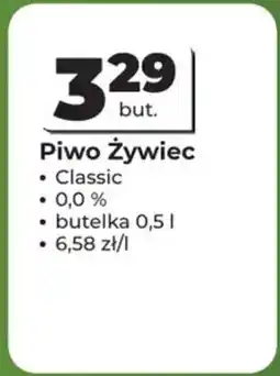 Odido Piwo Żywiec oferta