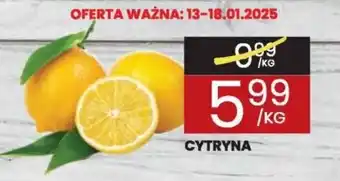 Wafelek Cytryna oferta