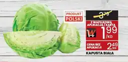 Wafelek Kapusta biała oferta